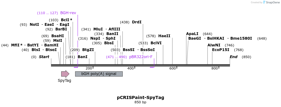 123183_map