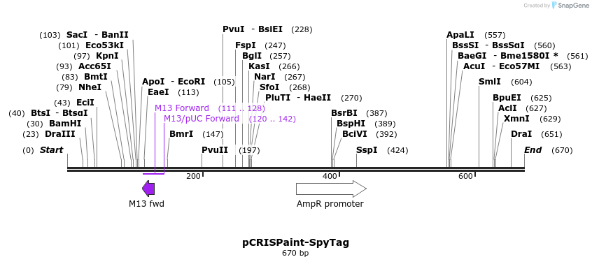 123184_map