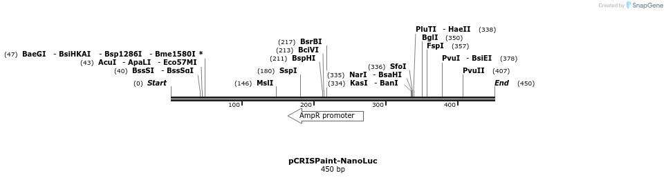 123190_map