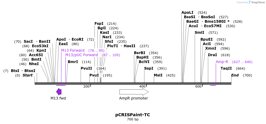 123193_map
