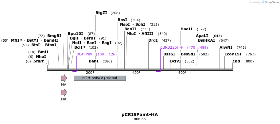 123196_map