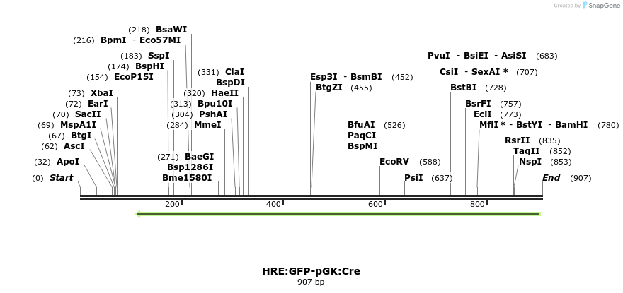 123197_map