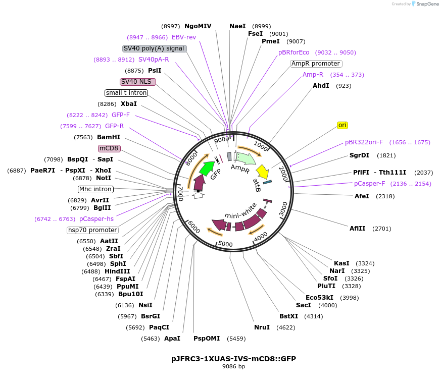 12320_map