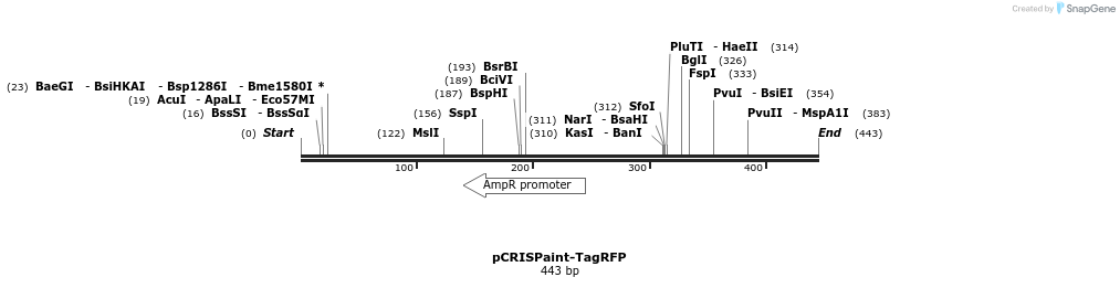 123201_map