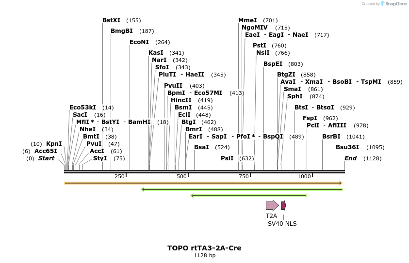 123203_map