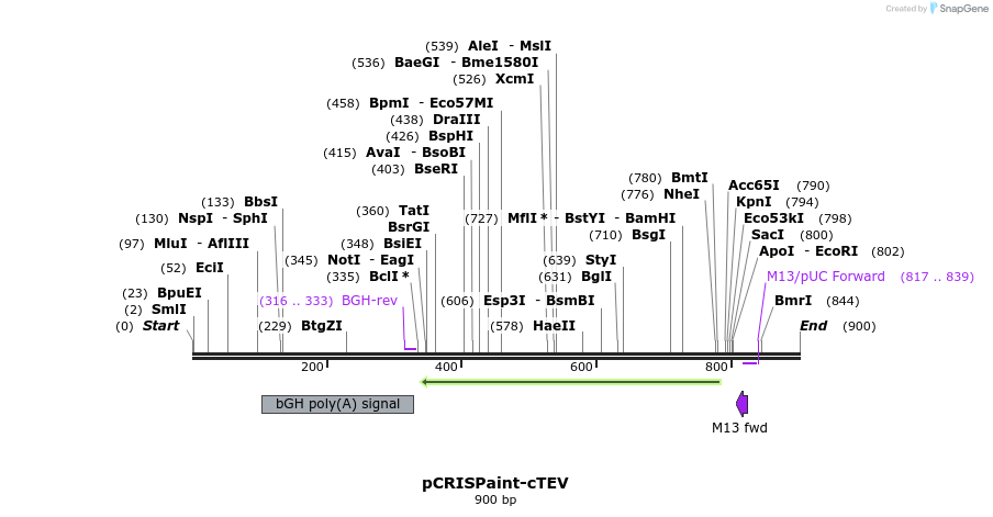 123206_map