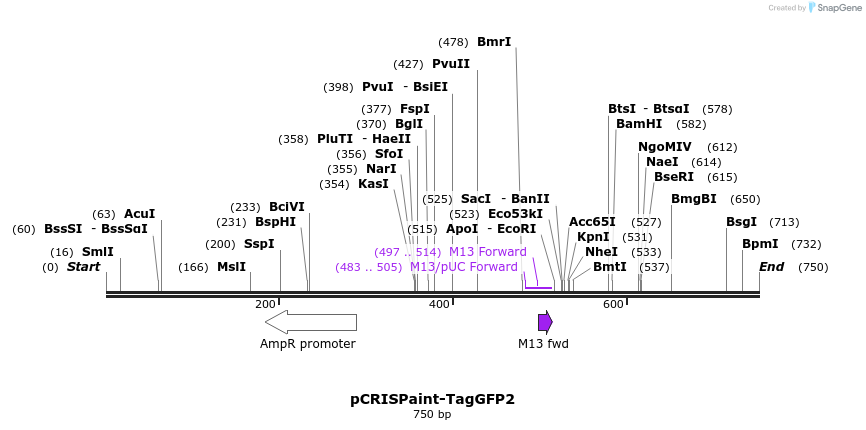 123209_map