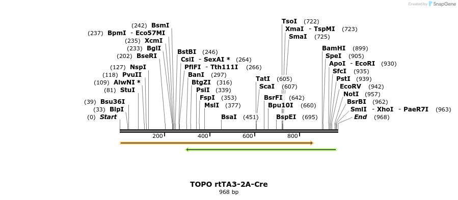 123213_map