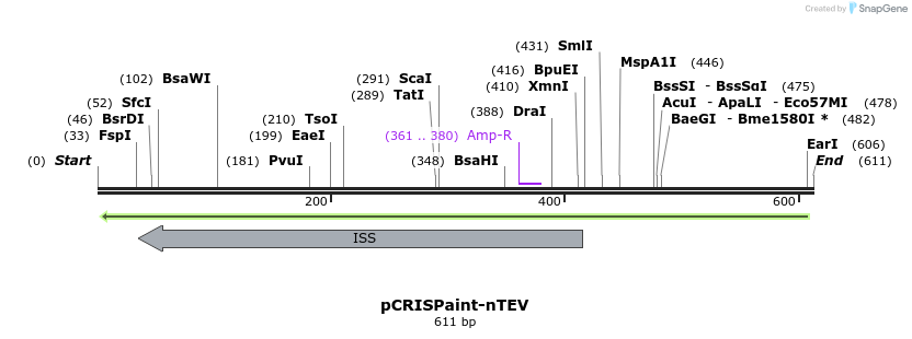 123215_map