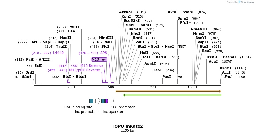 123221_map