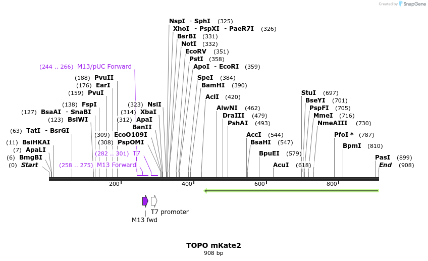 123222_map