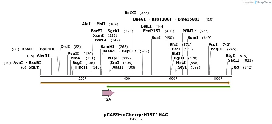 123228_map
