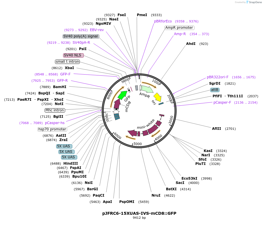 12323_map