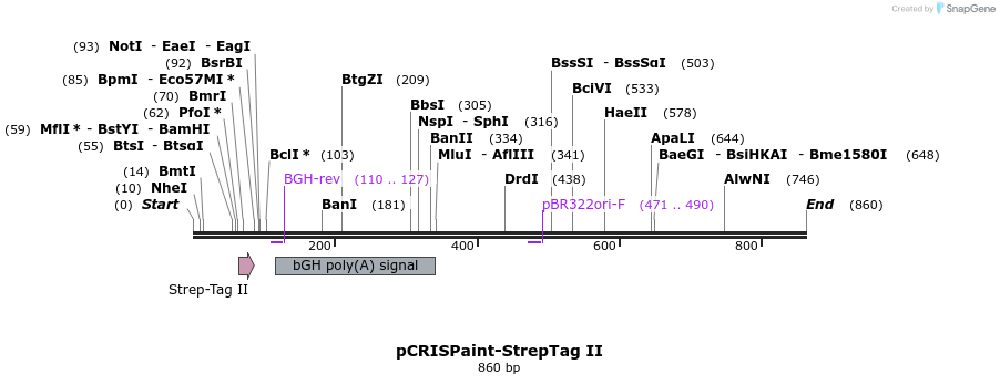 123236_map