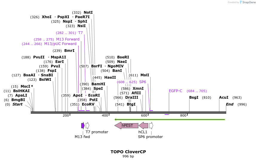 123242_map