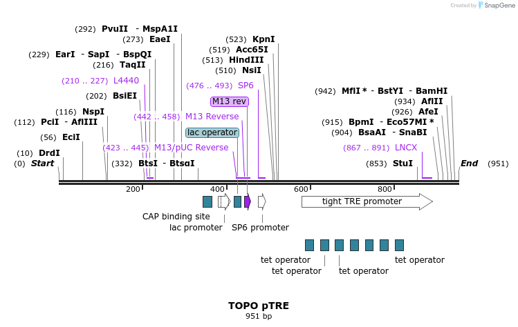 123247_map