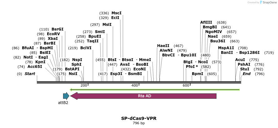 123248_map