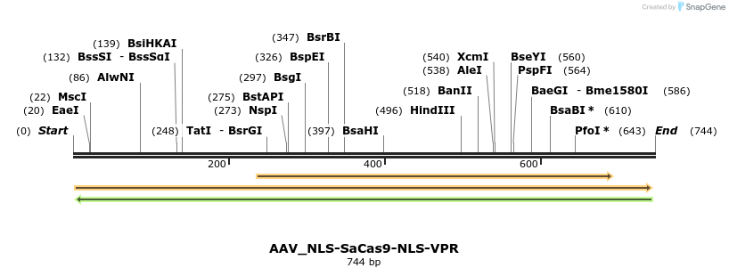 123251_map