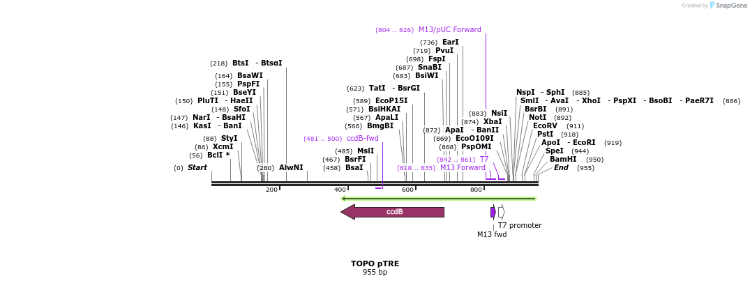 123252_map