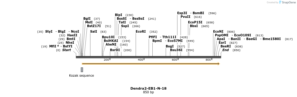 123253_map