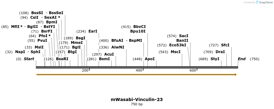 123254_map