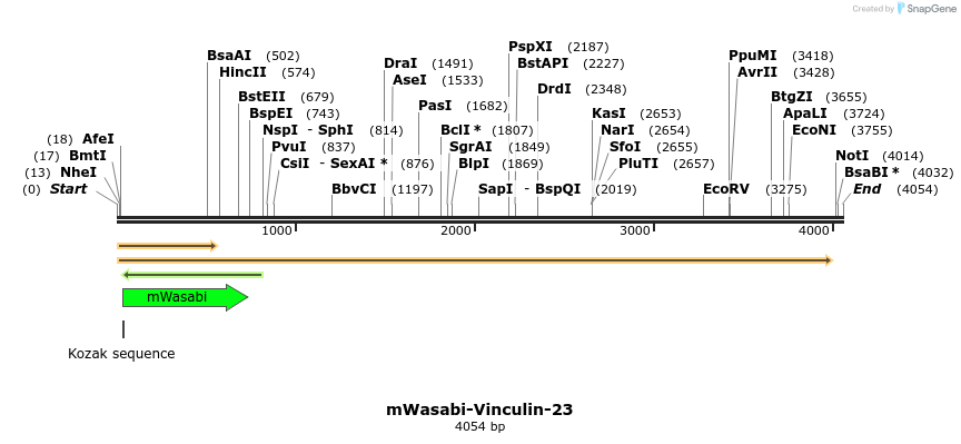 123255_map