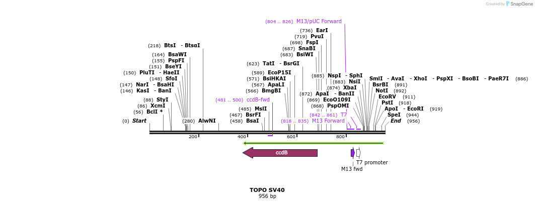 123266_map