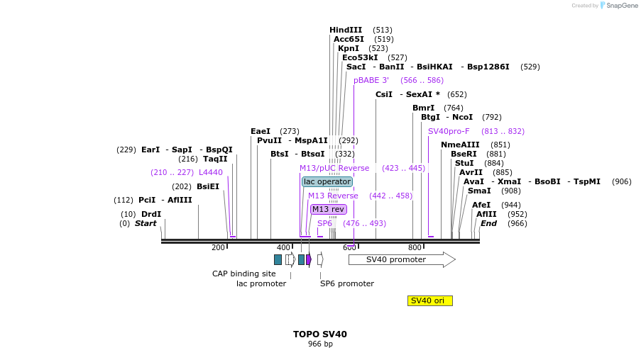 123267_map