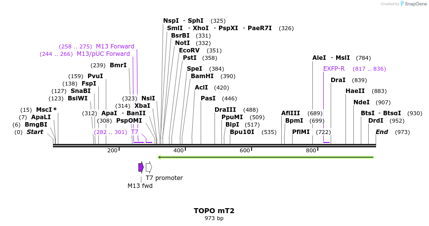 123272_map
