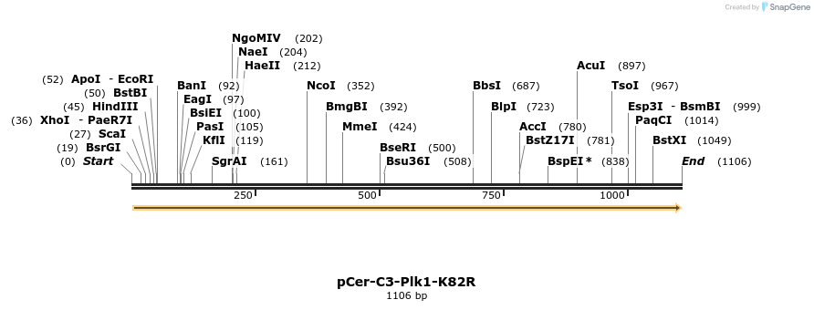 123273_map