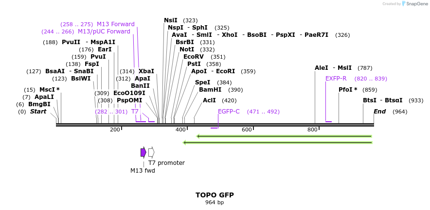 123277_map