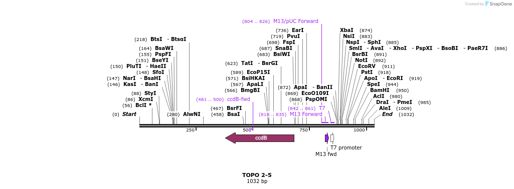 123279_map