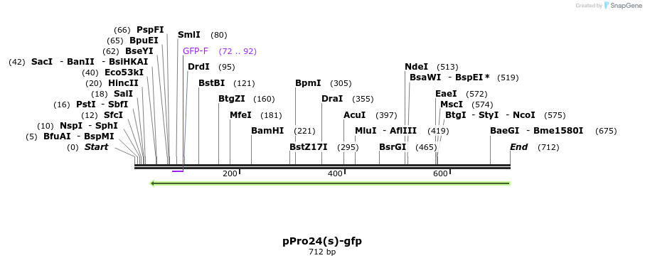 123280_map