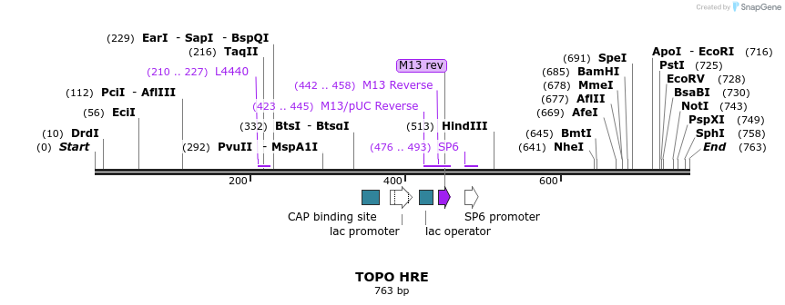 123281_map