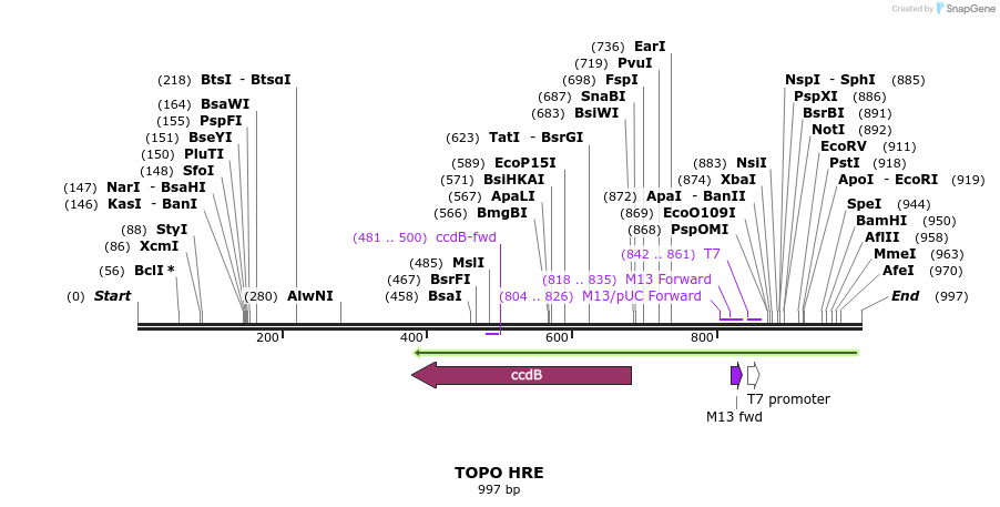 123282_map