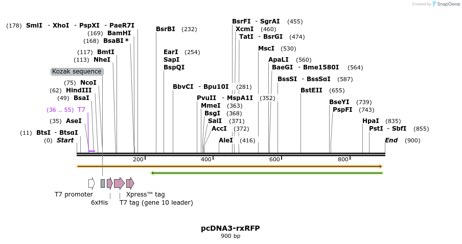 123285_map