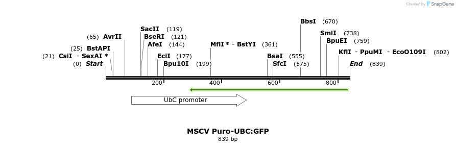 123287_map