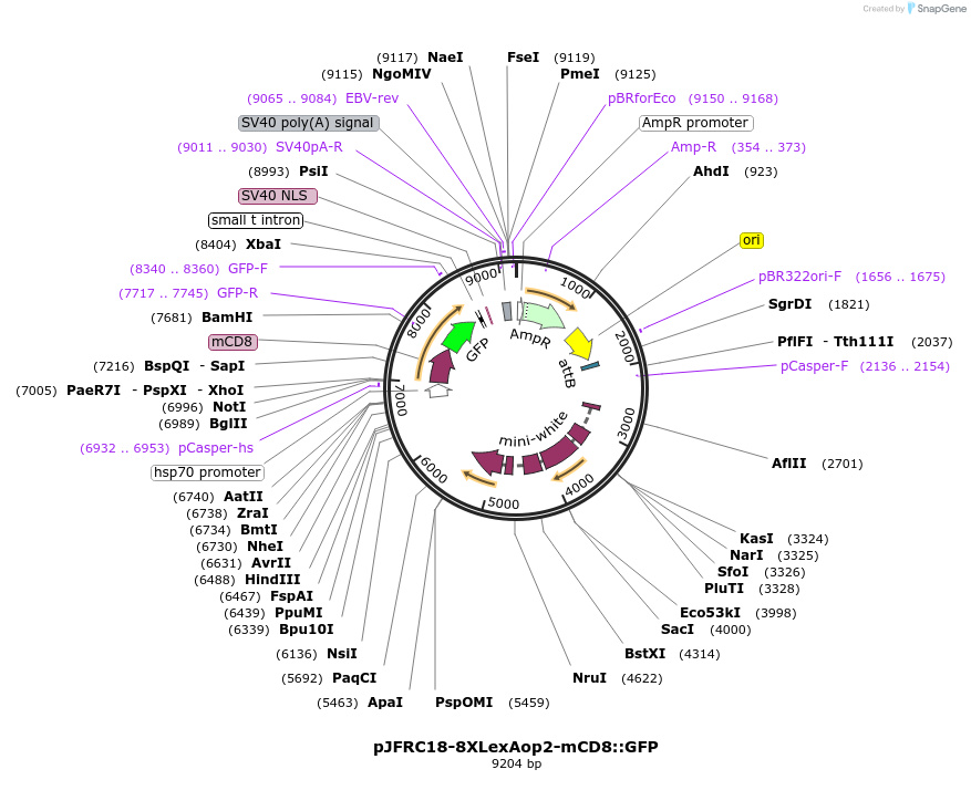 12329_map