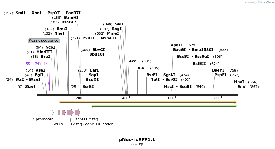 123291_map