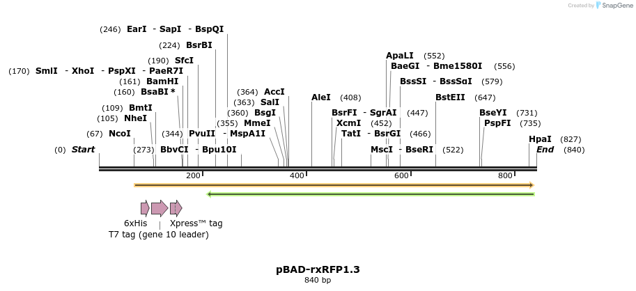 123296_map