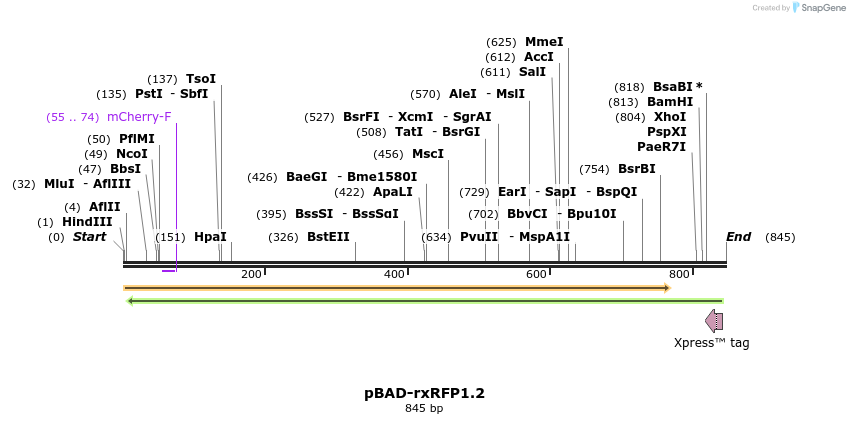 123299_map