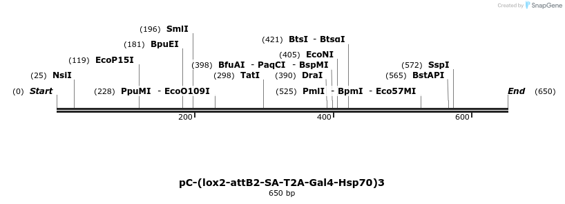 123303_map