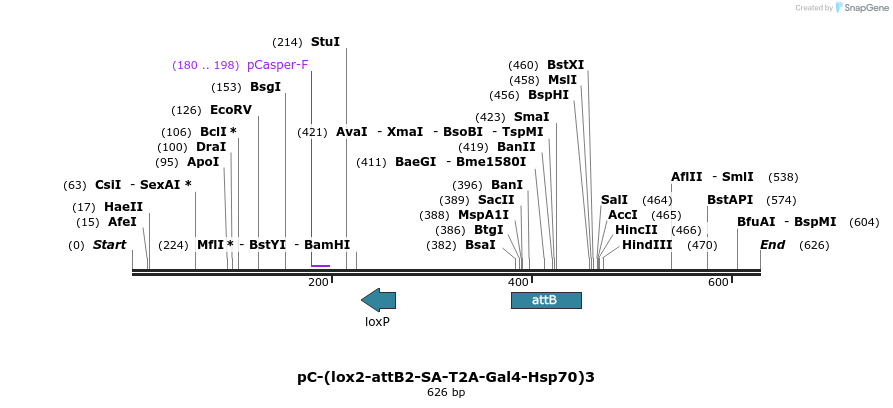 123304_map