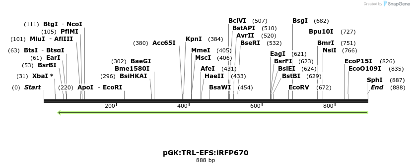 123308_map