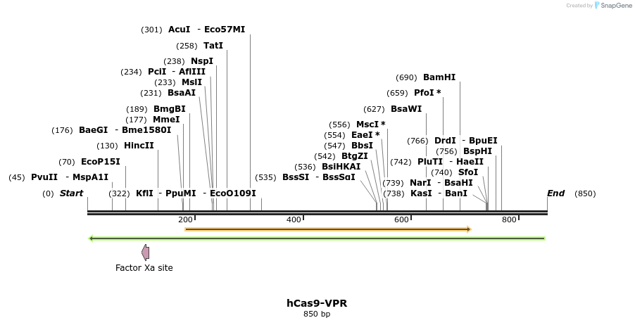 123310_map