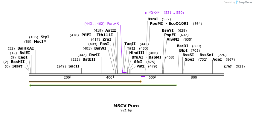 123313_map