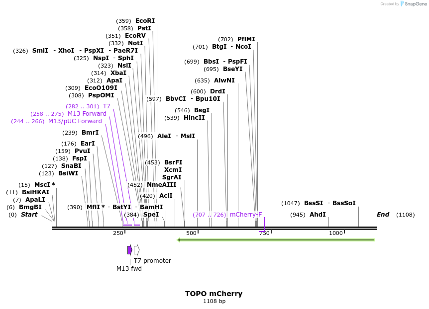 123324_map