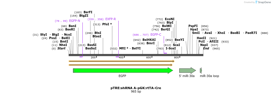 123331_map