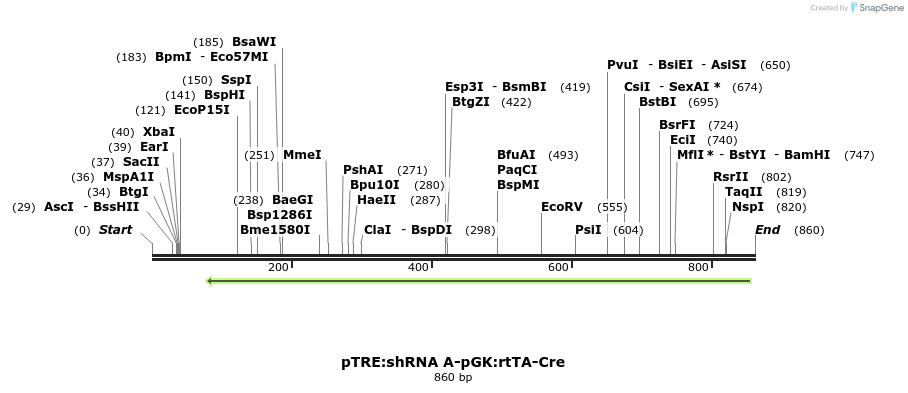 123339_map