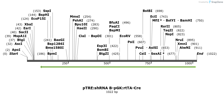 123342_map